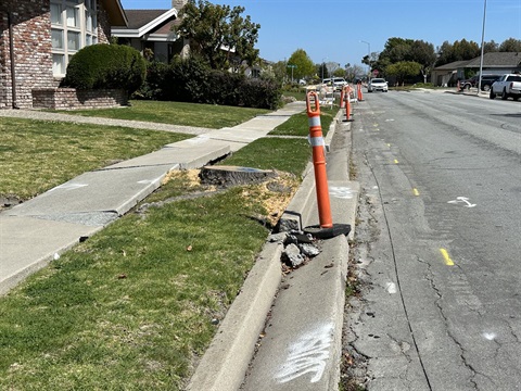 Sidewalk and curb and gutter damage